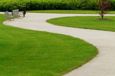 Concrete surface after curing