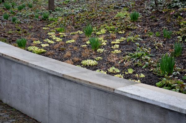 Cost of Concrete Wall Pouring in Bellevue