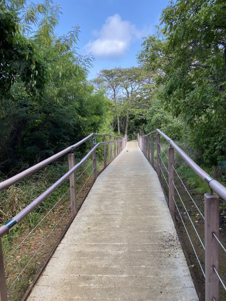 Cost of Footpath Construction in Bellevue