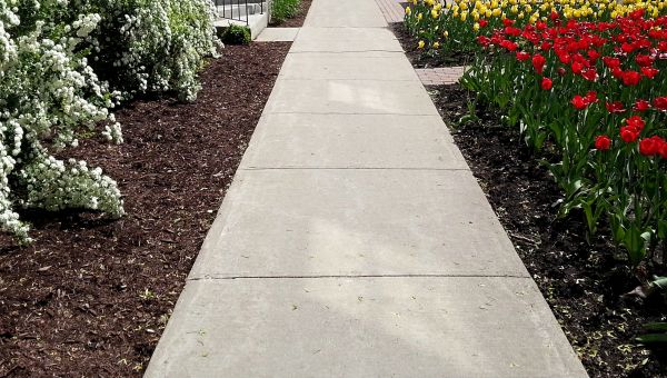 Cost of Cement Sidewalk Installation in Bellevue