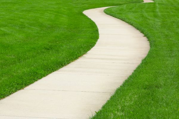 Cost of Walkway Building in Bellevue