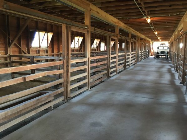 Cost of Barn Floor Pouring in Bellevue