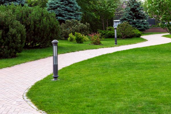 Cost of Backyard Sidewalk Installation in Bellevue