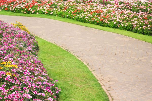 Cost of Concrete Walkway Service in Bellevue